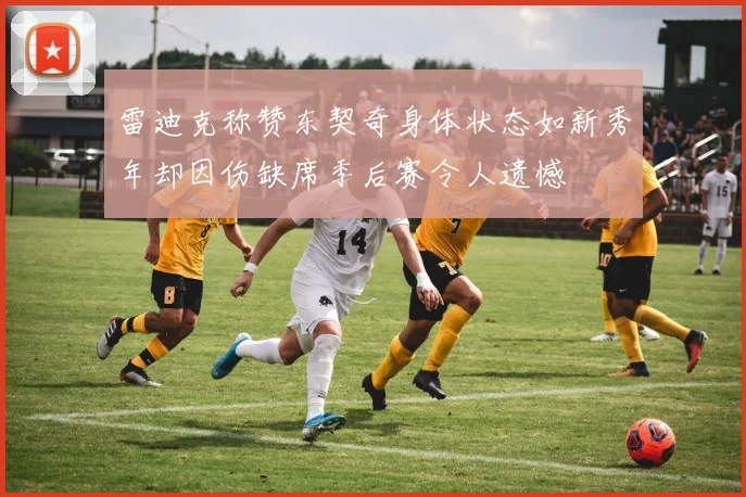 雷迪克称赞东契奇身体状态如新秀年却因伤缺席季后赛令人遗憾