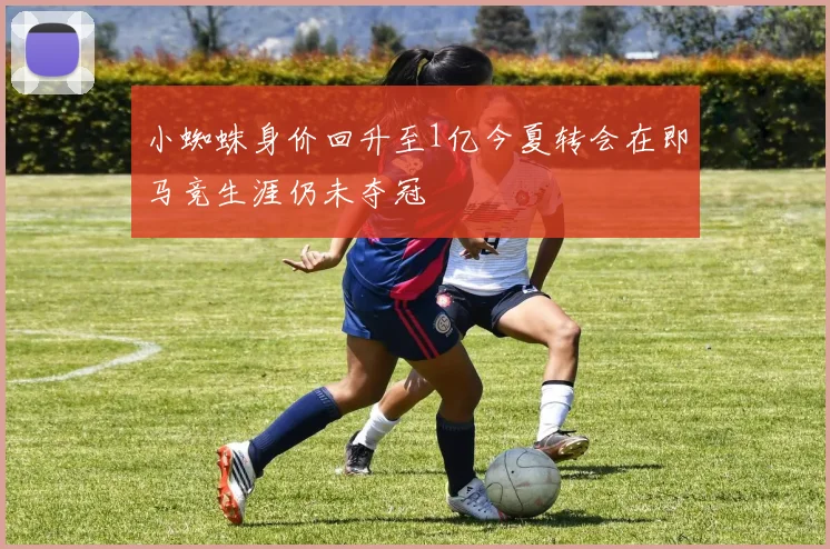 小蜘蛛身价回升至1亿今夏转会在即马竞生涯仍未夺冠