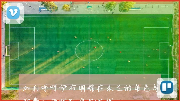 加利呼吁伊布明确在米兰的角色与职责以便球队更好发挥